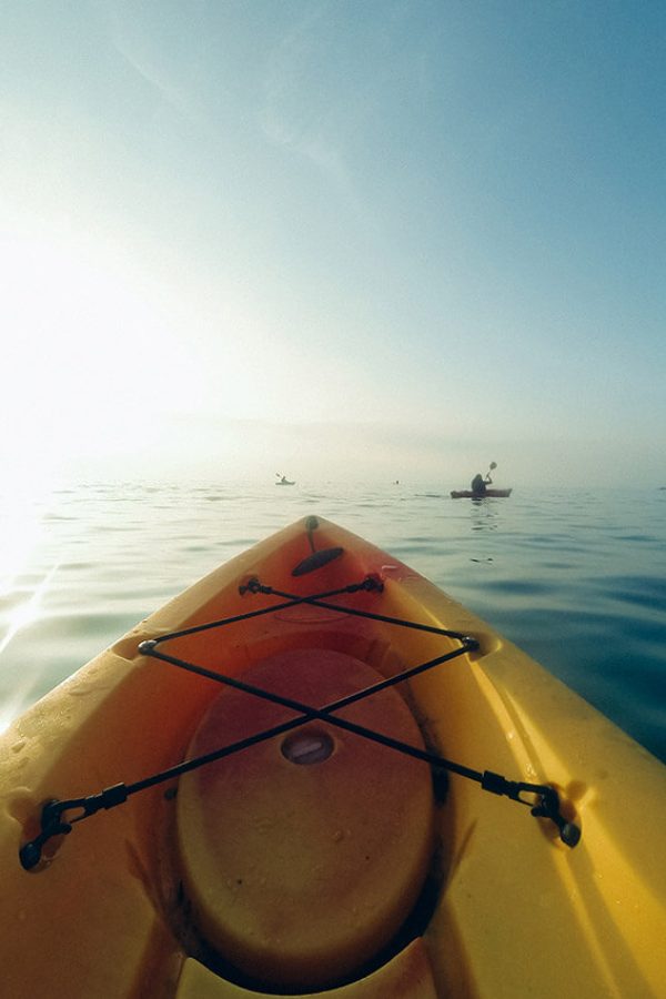 aaron-burden-25846-unsplash.jpg aaron-burden-25846-unsplash.jpg